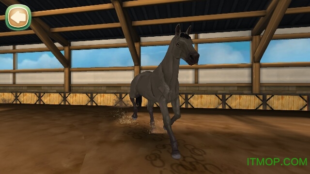 照顾马匹内购破解版(Horse Hotel Premium)