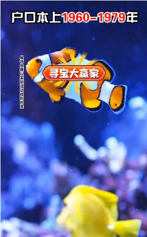 寻宝大赢家