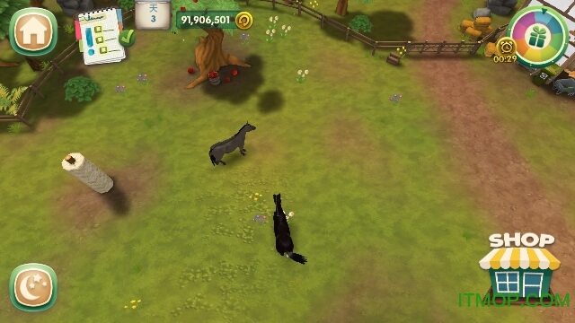 照顾马匹内购破解版(Horse Hotel Premium)