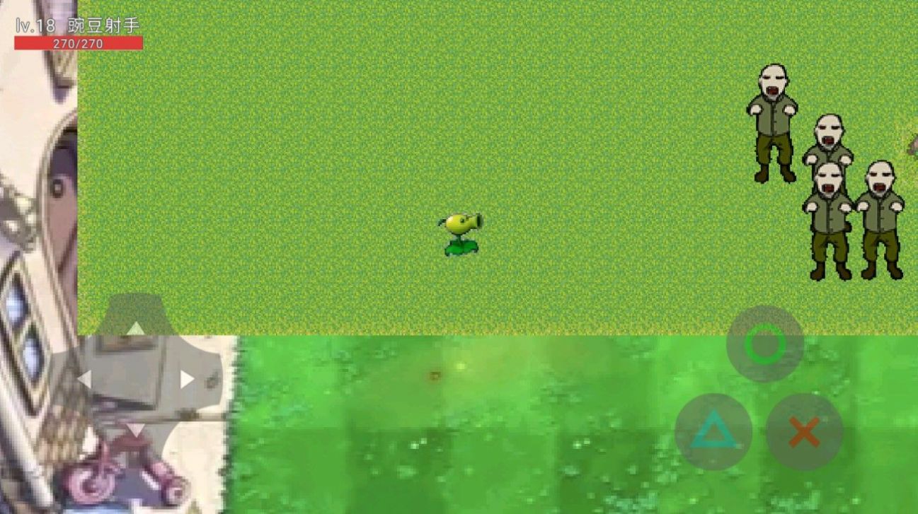 植物大战姜丝 植物大战姜丝