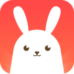 兔找找