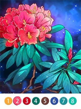 数字填色：曼陀罗书