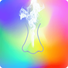 物联香氛官方版