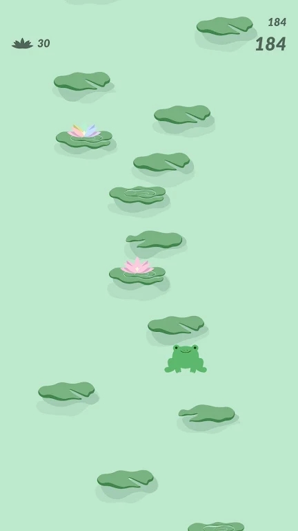 Hello Froggy!