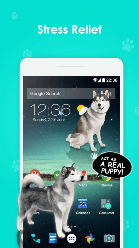 屏幕中的狮子玩笑恶搞软件下载(Lion On Screen)