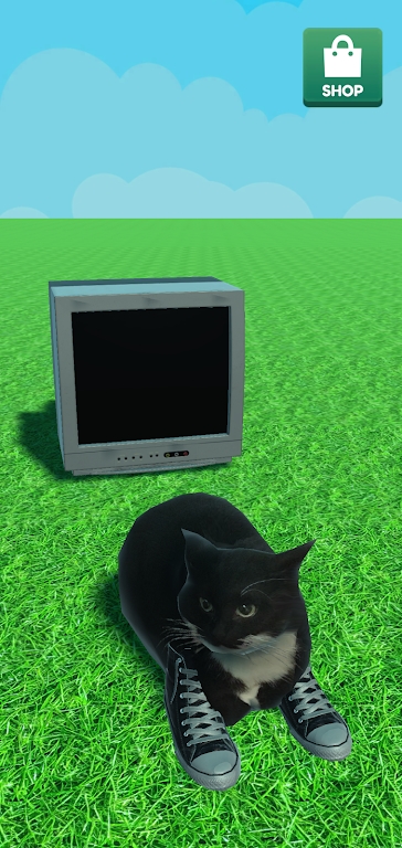 麦克斯韦的猫(MaxwellTheCat)