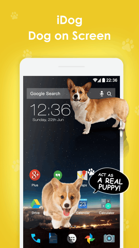 屏幕中的狮子玩笑恶搞软件下载(Lion On Screen)