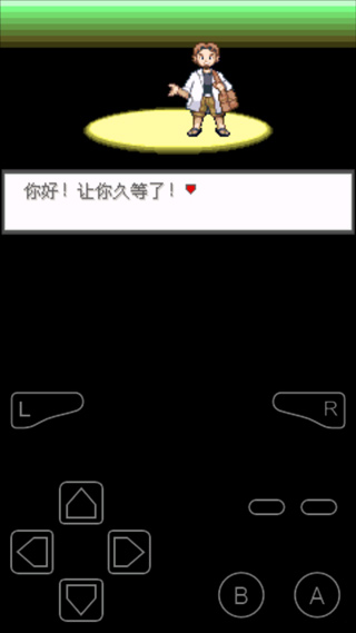 口袋妖怪 极光石