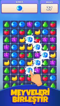 浆果匹配Berry Match