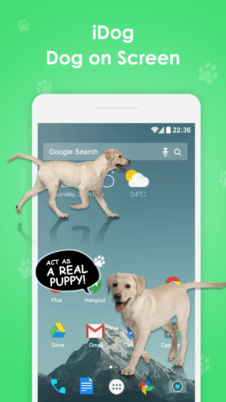 屏幕中的狮子玩笑恶搞软件下载(Lion On Screen)