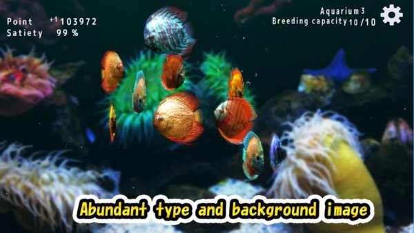 热带鱼水族馆(discus)