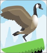 Jump Goose Jump!