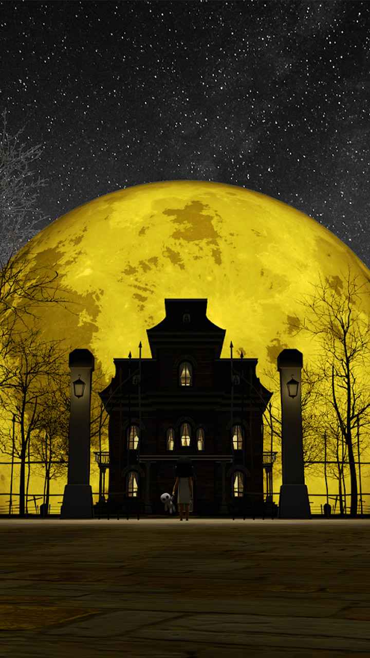 pookie盲盒 pookie盲盒