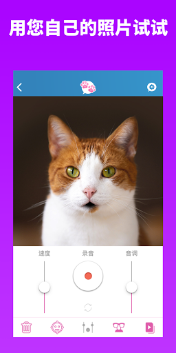 My Talking Pet我的会说话的宠物app