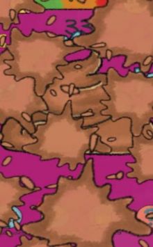 食物与便便Food or Poop