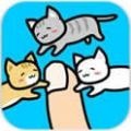 手指小猫Play with Cats