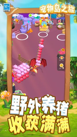 宠物岛之旅