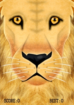 fs wild游戏安卓版