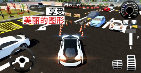 Real Sport Car Parking: Pro