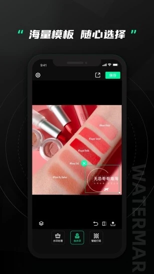 无忌哥哥水印全能王