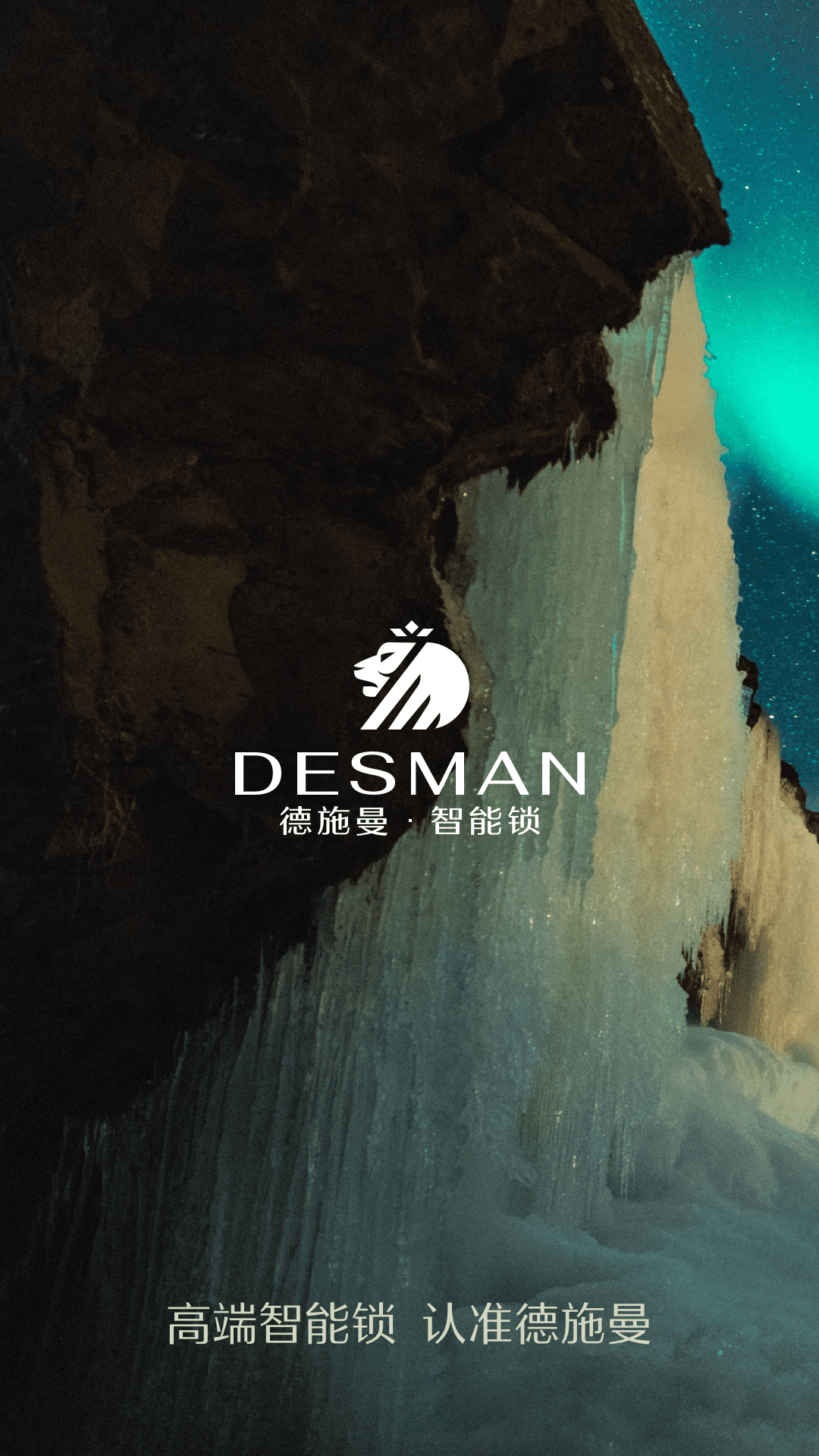 德施曼智能 德施曼智能