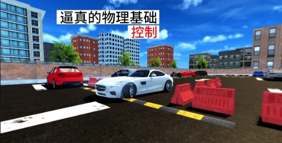Real Sport Car Parking: Pro