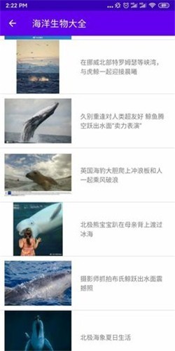 海洋生物大作战