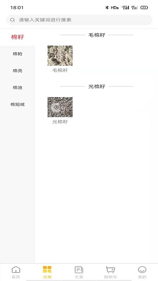 棉枝籽 棉枝籽