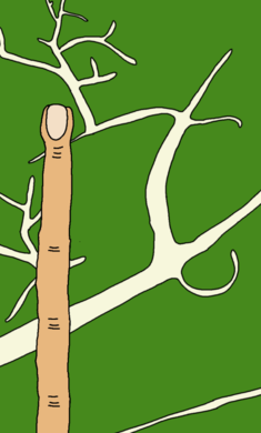 越南农历新年晚餐 越南农历新年晚餐