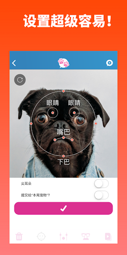 My Talking Pet我的会说话的宠物app