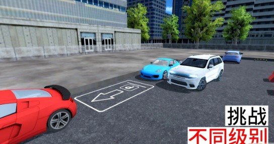 Real Sport Car Parking: Pro