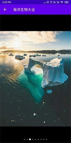 海洋生物大作战