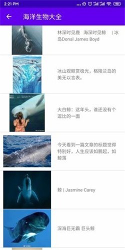 海洋生物大作战