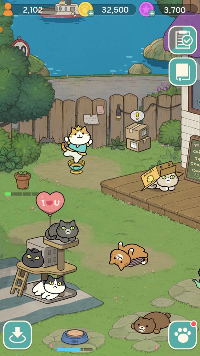 神秘猫咪字典国际版