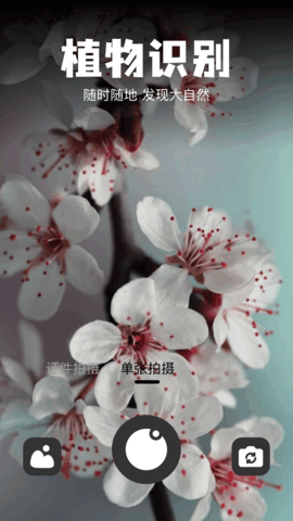 识物宝