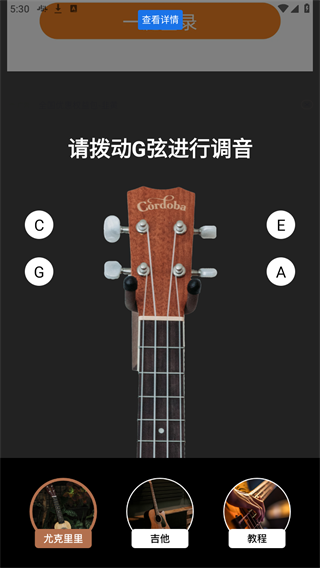 tuner t1调音器