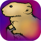 Life of Pika(鼠兔的生活)