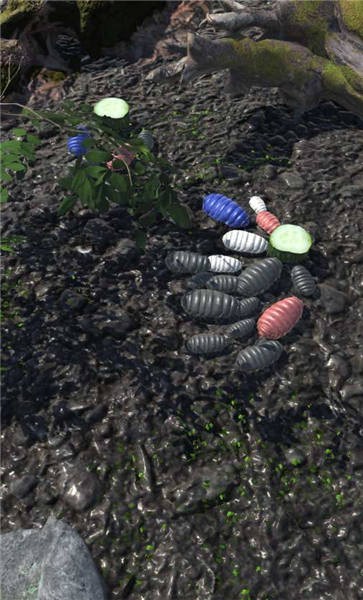 RolyPoly(圆滚滚朋友手游)