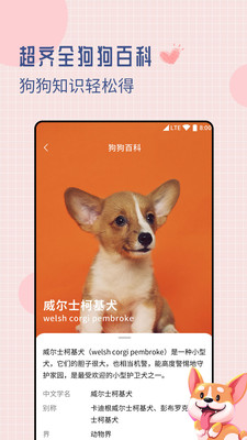 狗狗交流翻译器