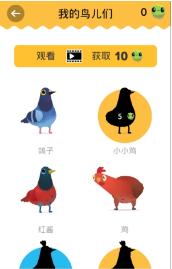 乱啄的鸽子