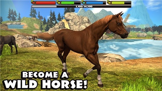棕马模拟器UltimateHorse