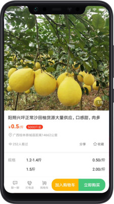桃源明