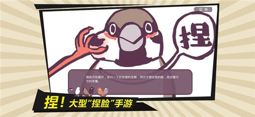 文鸟恋爱物语