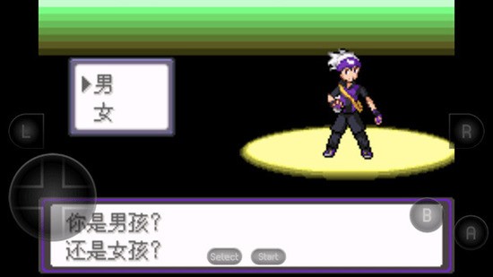 口袋妖怪 漆黑的魅影6.0 无限洁白