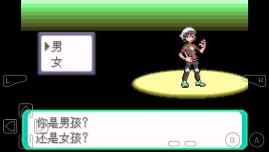 口袋妖怪-究极绿宝石IV