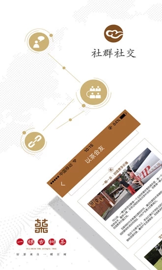 一棵古树茶