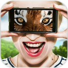 Vision animal simulator(动物视觉模拟器破解版下载)