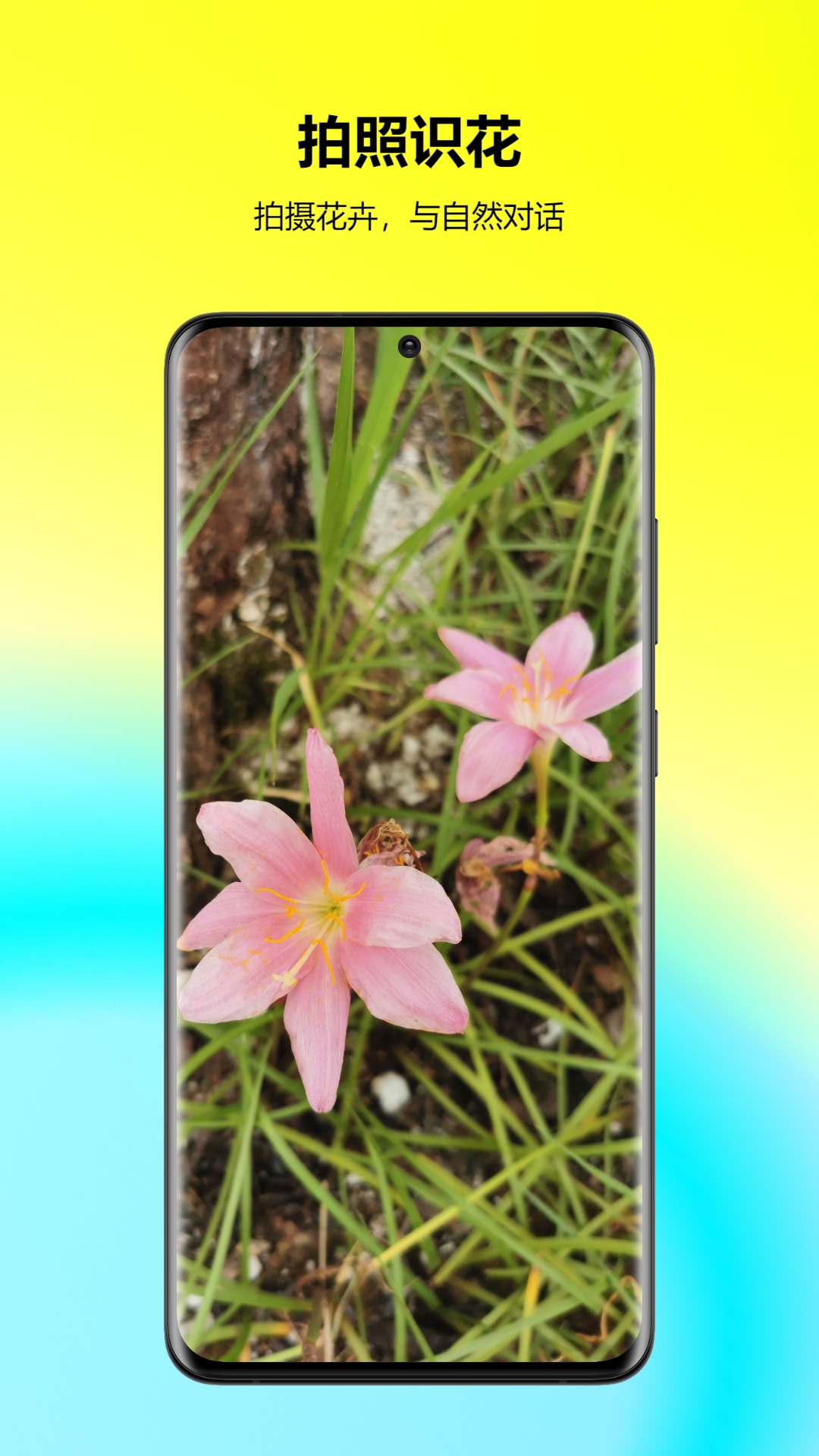 万能拍照识花 万能拍照识花