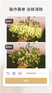 乐其爱水印精灵-专业水印处理工具