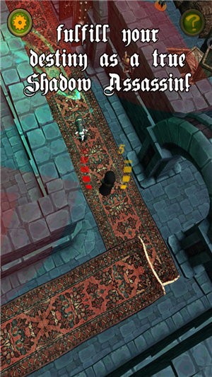 影子刺客Shadow Assassin